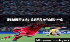 电质保上