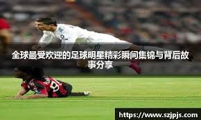 深度解析“平台留存算法”：如何延长你的生命周期。（平台留存算法全揭秘：助你延长生命周期）